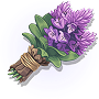 Aconite